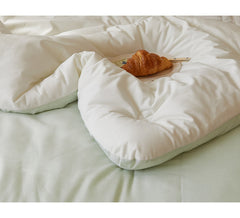 ☃ 秋冬(淨色)雙面<一面絨毛一面無塵>雲朵被-3色